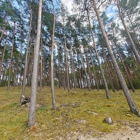 Lesna Ostoja W Centrum Puszczy Nadnoteckiej Otoczona 3 Jeziorami Miedzychod Exterior foto