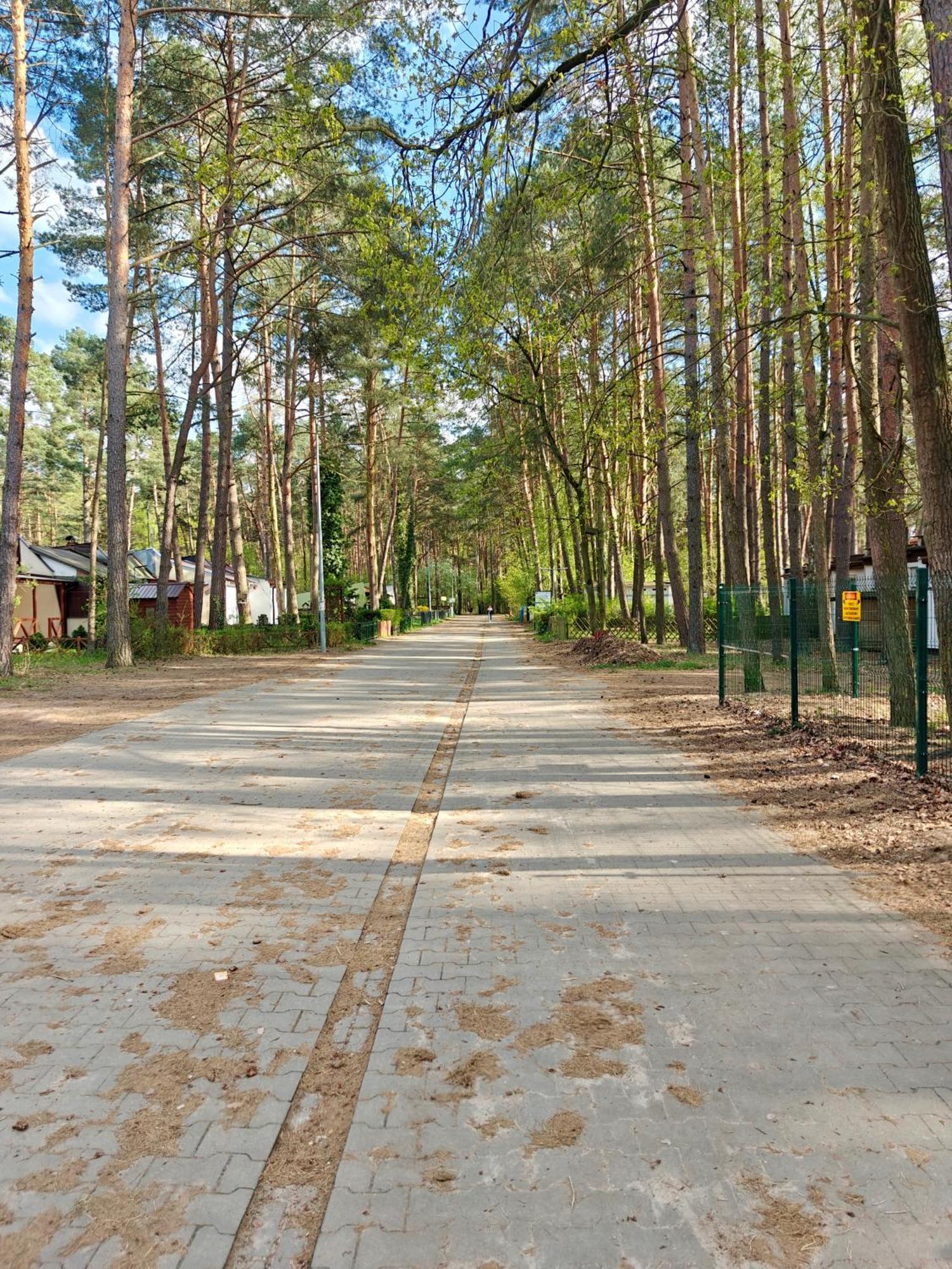Lesna Ostoja W Centrum Puszczy Nadnoteckiej Otoczona 3 Jeziorami Miedzychod Exterior foto